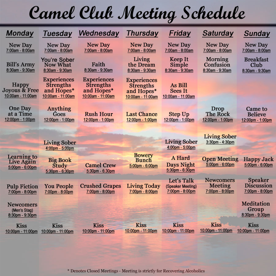 camel club AA meeting schedule
